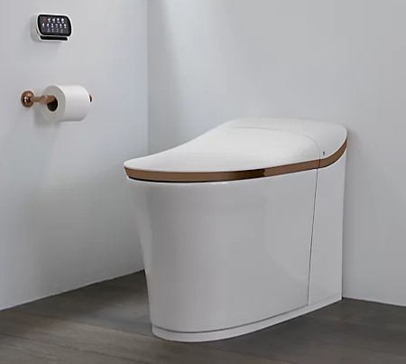 A toilet that is white and has gold trim.